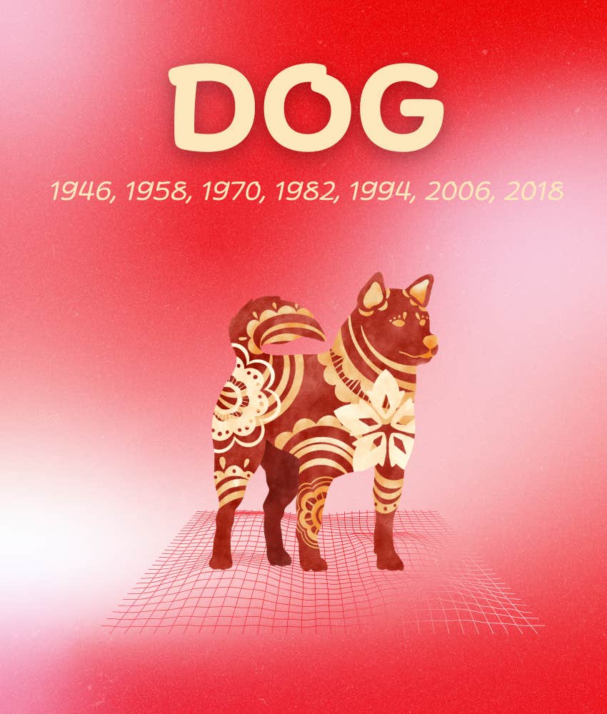 dog chinese zodiac signs things get better may 11 - 17, 2026