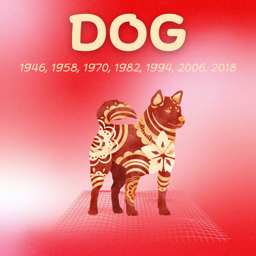 dog chinese zodiac signs luck good fortune may 12 2026