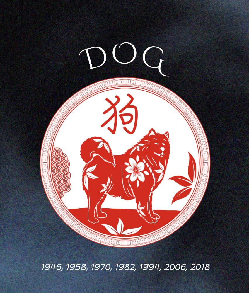 dog weekly chinese horoscope animal sign may 11 - 17, 2026