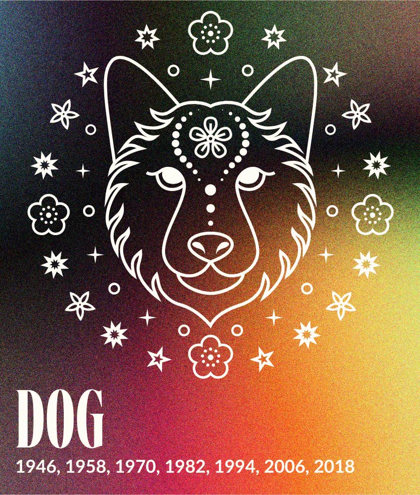 dog year fire horse 2026 horoscopes chinese zodiac signs