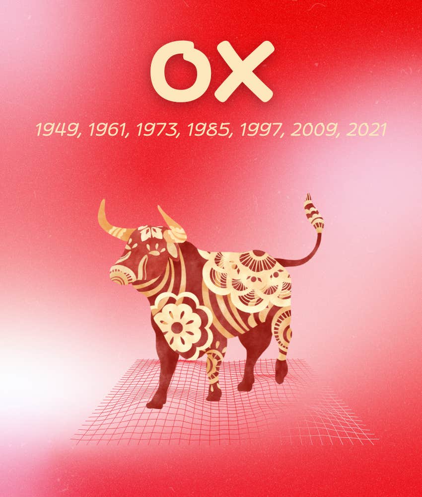 ox chinese zodiac signs things get better may 11 - 17, 2026
