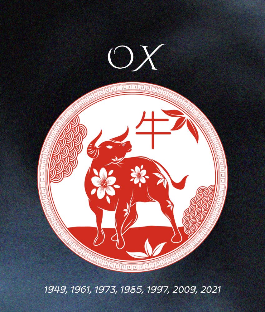 ox chinese zodiac signs hard times end may 13, 2026