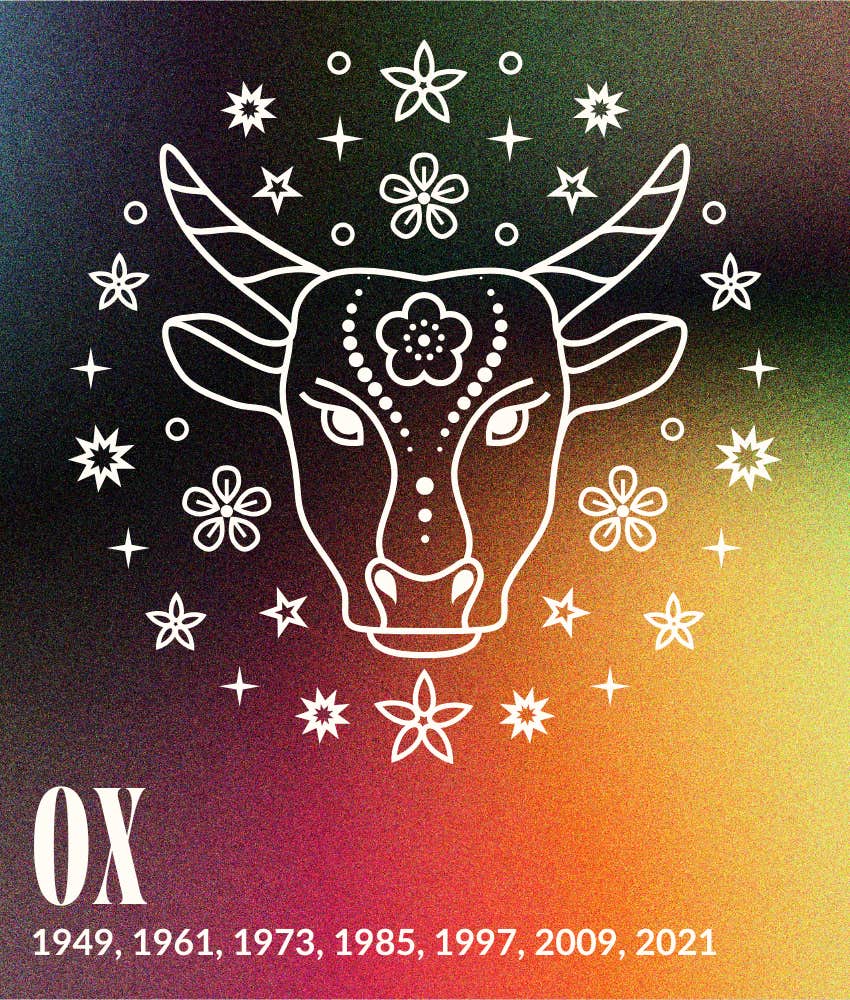 ox year fire horse 2026 horoscopes chinese zodiac signs