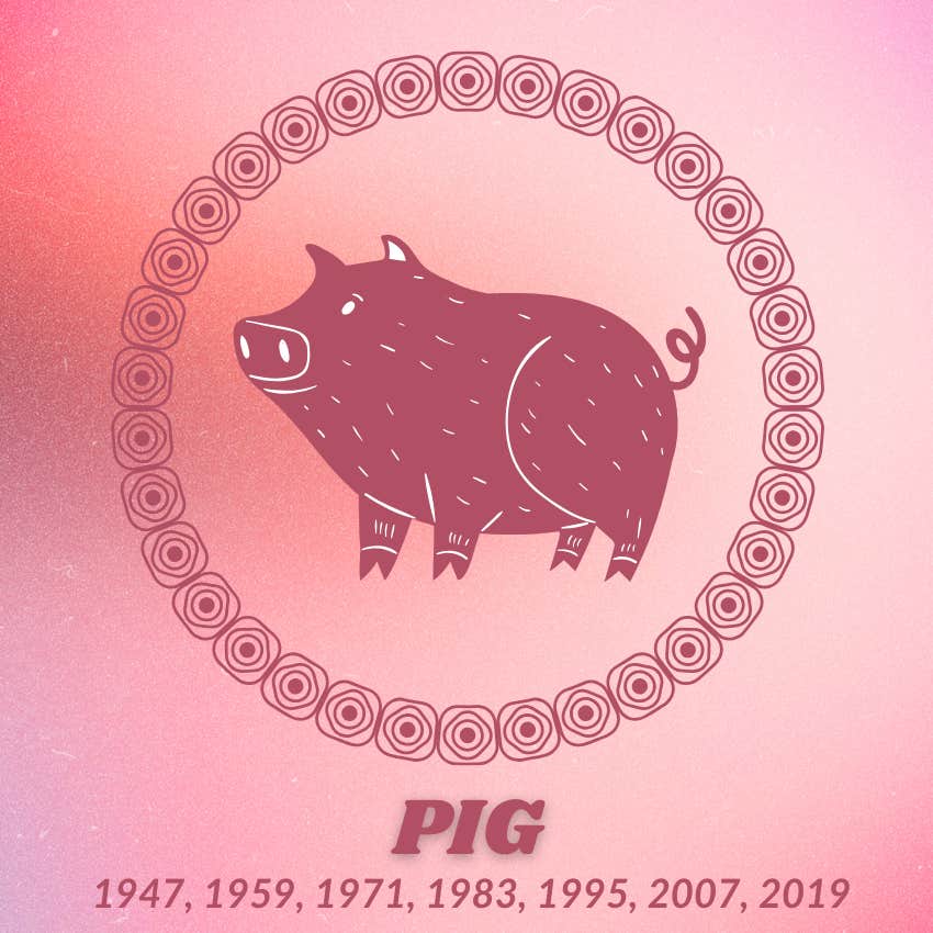 pig chinese zodiac signs luck success may 13 2026