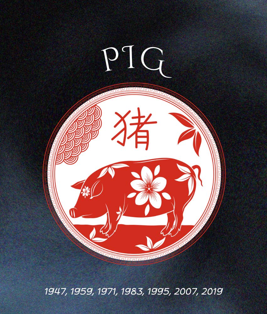 pig weekly chinese horoscope animal sign may 11 - 17, 2026