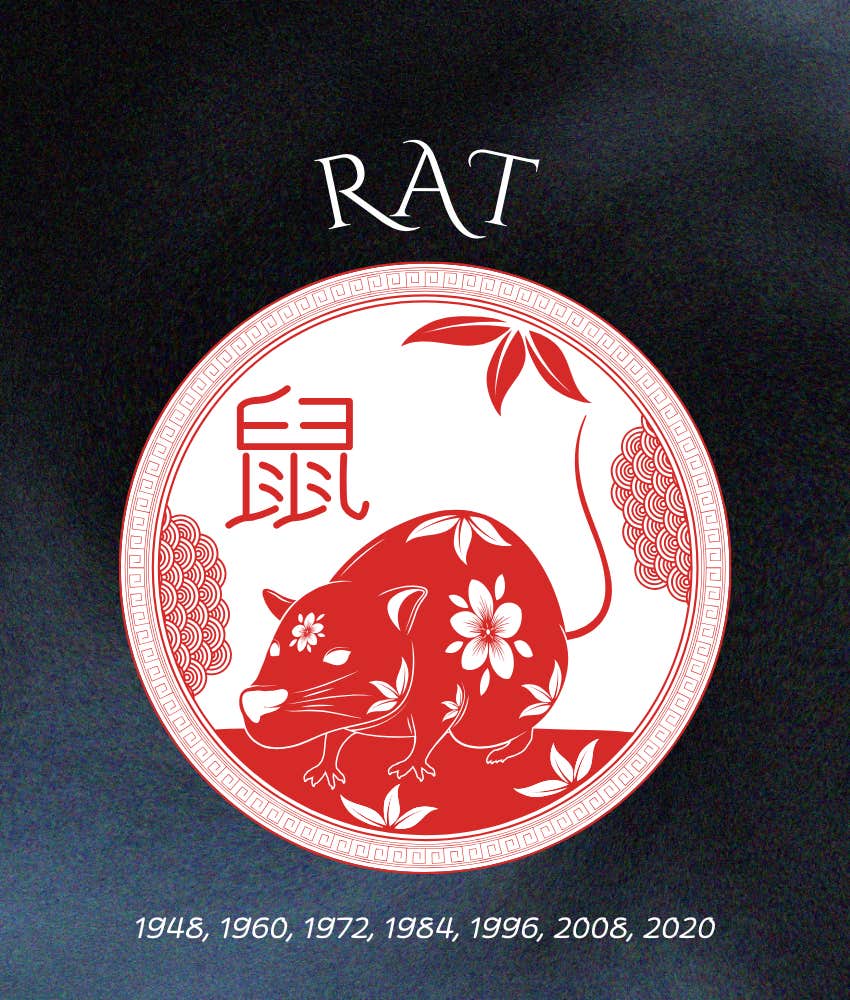 rat chinese zodiac signs rich powerful deeply loved 