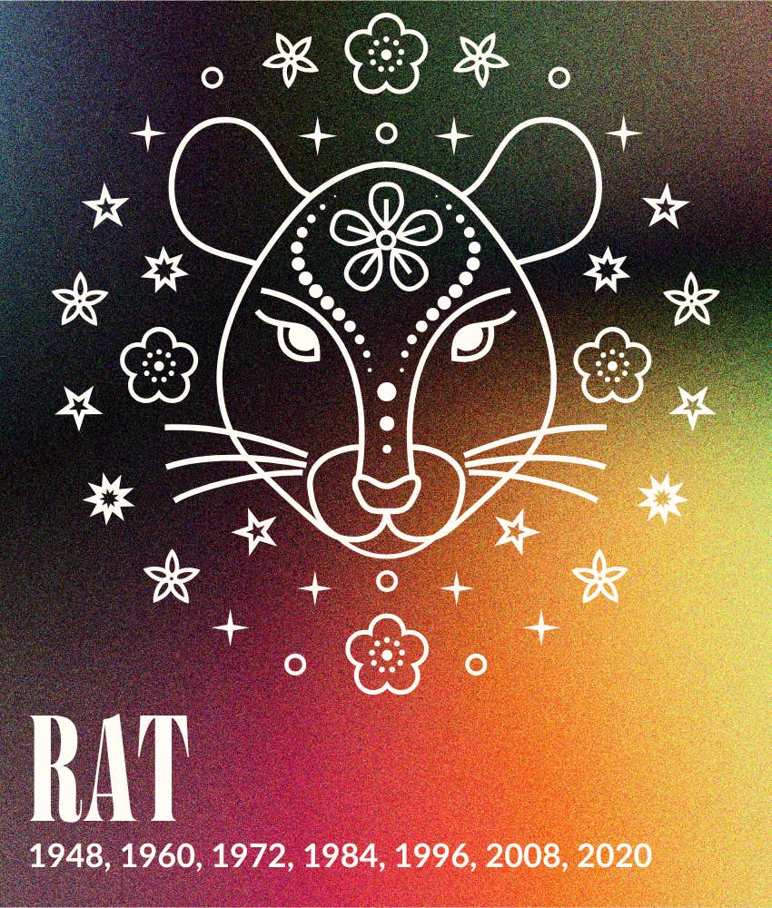 rat year fire horse 2026 horoscopes chinese zodiac signs