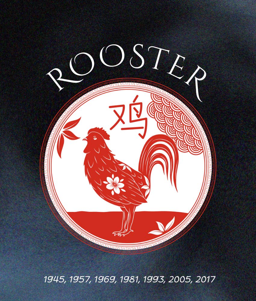 rooster chinese zodiac signs rich powerful deeply loved 