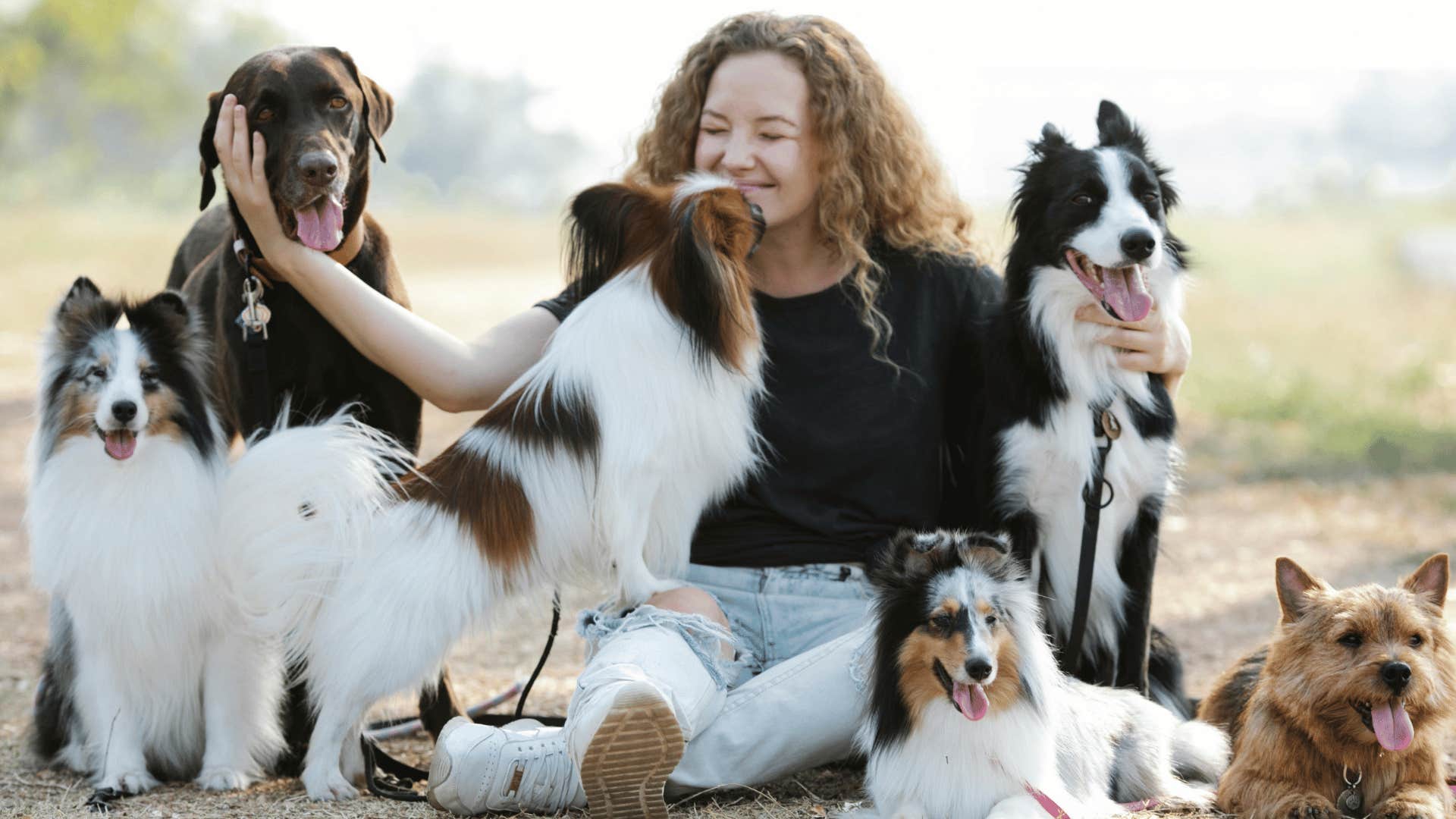 woman surrounded by dogs approaching and licking her