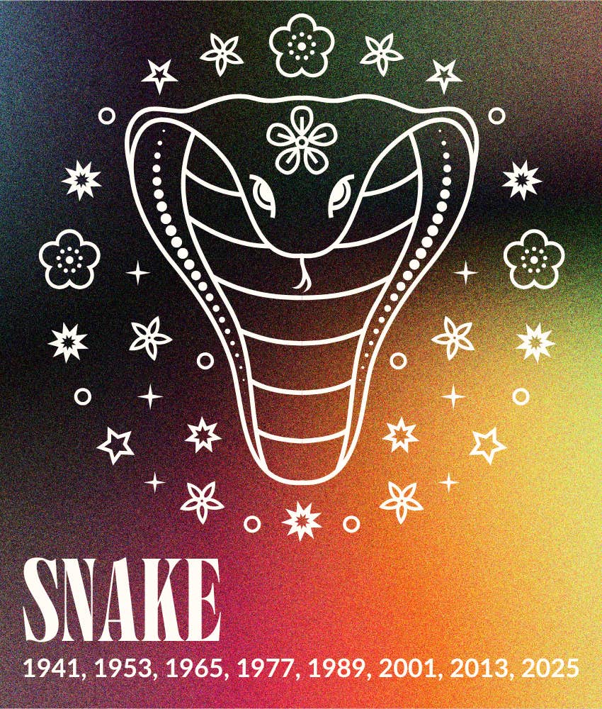 snake year fire horse 2026 horoscopes chinese zodiac signs