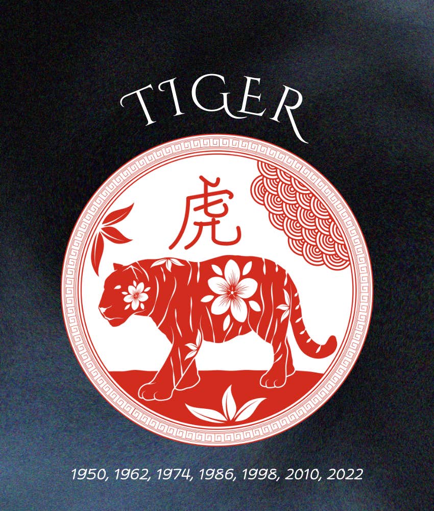 tiger chinese zodiac signs rich powerful deeply loved 