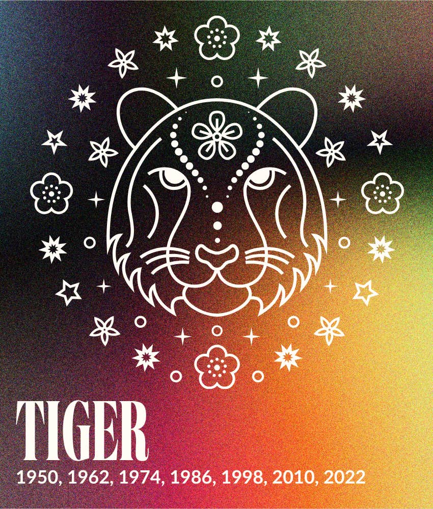 tiger year fire horse 2026 horoscopes chinese zodiac signs